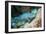 Queen Parrotfish-Georgette Douwma-Framed Photographic Print