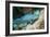Queen Parrotfish-Georgette Douwma-Framed Photographic Print