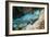 Queen Parrotfish-Georgette Douwma-Framed Photographic Print