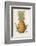 Queen Pineapple-null-Framed Photographic Print