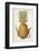 Queen Pineapple-null-Framed Photographic Print