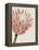 Queen Protea I-Grace Popp-Framed Stretched Canvas