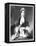 Queen Victoria, (1819-190), 19th Century-Taylor-Framed Premier Image Canvas