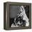 Queen Victoria in Ceremonial Robes at Her Golden Jubilee, 1887-null-Framed Premier Image Canvas