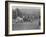 Queen Victoria Presenting Colours to the Cameron Highlanders, 1873 (B/W Photo)-English Photographer-Framed Giclee Print