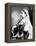 Queen Victoria Wearing the Small Imperial Crown to Mark Her 66th Birthday-null-Framed Premier Image Canvas