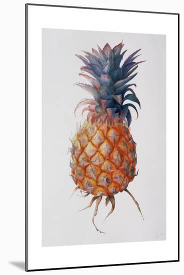 Queenie Pineapple, 1994-Rebecca John-Mounted Giclee Print