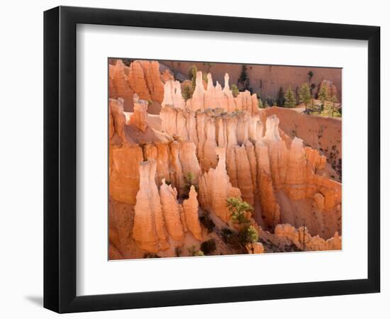 Queens Garden, Bryce Canyon National Park, Utah, USA-Jamie & Judy Wild-Framed Photographic Print