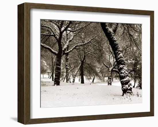Queens Park Manchester in the Winter-null-Framed Photographic Print