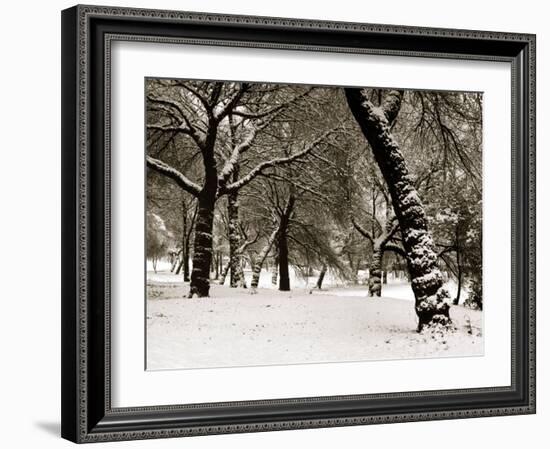 Queens Park Manchester in the Winter-null-Framed Photographic Print