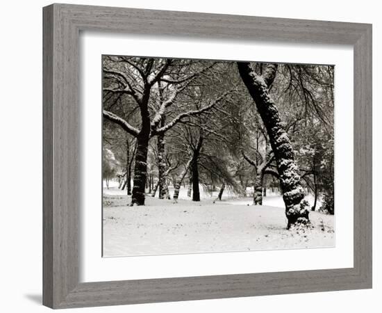 Queens Park Manchester in the Winter-null-Framed Photographic Print