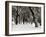 Queens Park Manchester in the Winter-null-Framed Photographic Print