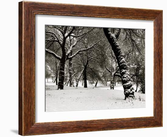 Queens Park Manchester in the Winter-null-Framed Photographic Print