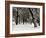 Queens Park Manchester in the Winter-null-Framed Photographic Print