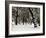 Queens Park Manchester in the Winter-null-Framed Photographic Print