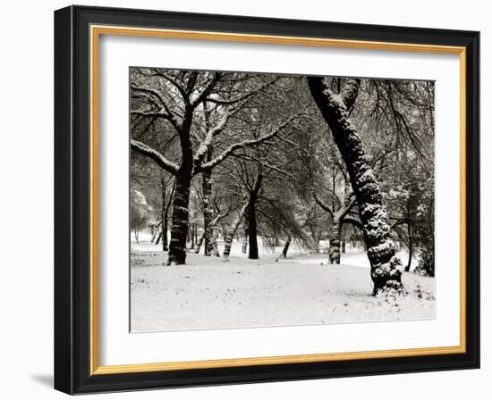 Queens Park Manchester in the Winter-null-Framed Photographic Print