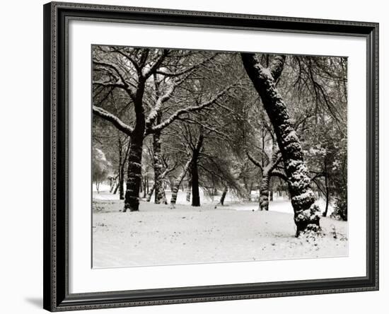 Queens Park Manchester in the Winter-null-Framed Photographic Print