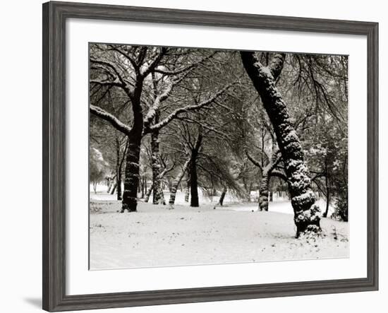 Queens Park Manchester in the Winter-null-Framed Photographic Print