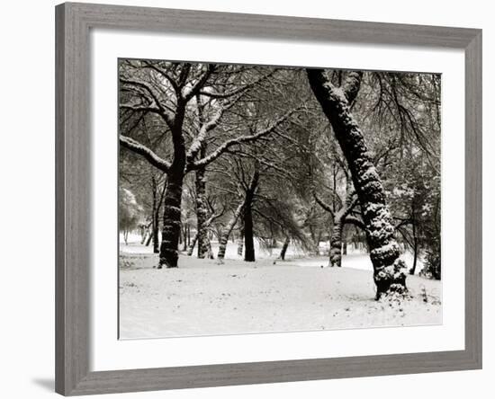 Queens Park Manchester in the Winter-null-Framed Photographic Print