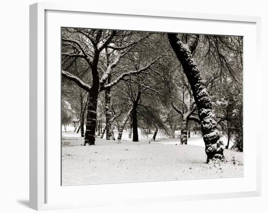 Queens Park Manchester in the Winter-null-Framed Photographic Print