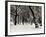 Queens Park Manchester in the Winter-null-Framed Photographic Print