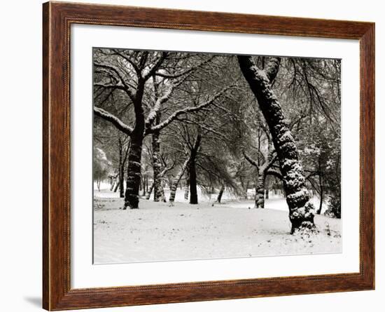 Queens Park Manchester in the Winter-null-Framed Photographic Print