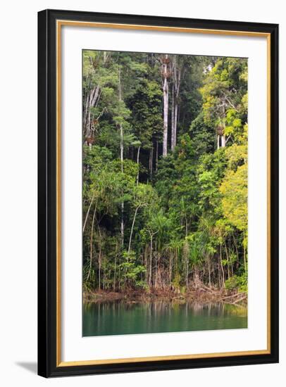 Queensland, Australia-Paul Dymond-Framed Photographic Print