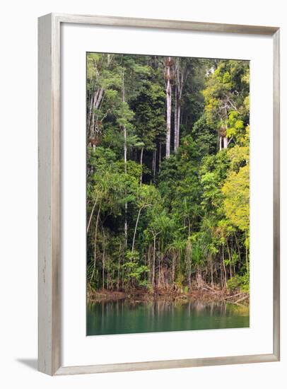 Queensland, Australia-Paul Dymond-Framed Photographic Print