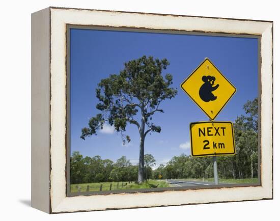 Queensland, Fraser Coast, Maryborough, Koala Crossing Sign on the Bruce Highway, Australia-Walter Bibikow-Framed Premier Image Canvas