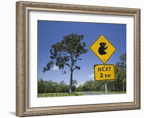 Queensland, Fraser Coast, Maryborough, Koala Crossing Sign on the Bruce Highway, Australia-Walter Bibikow-Framed Photographic Print