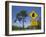 Queensland, Fraser Coast, Maryborough, Koala Crossing Sign on the Bruce Highway, Australia-Walter Bibikow-Framed Photographic Print