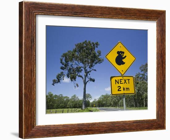 Queensland, Fraser Coast, Maryborough, Koala Crossing Sign on the Bruce Highway, Australia-Walter Bibikow-Framed Photographic Print