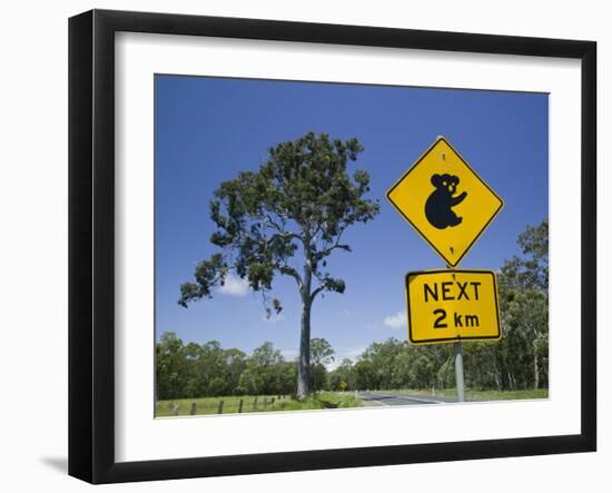 Queensland, Fraser Coast, Maryborough, Koala Crossing Sign on the Bruce Highway, Australia-Walter Bibikow-Framed Photographic Print