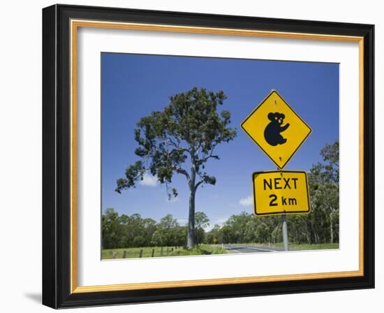 Queensland, Fraser Coast, Maryborough, Koala Crossing Sign on the Bruce Highway, Australia-Walter Bibikow-Framed Photographic Print