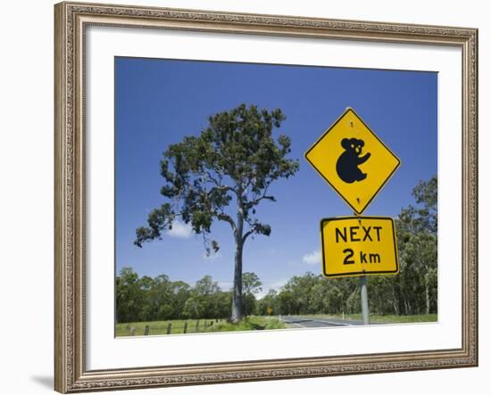 Queensland, Fraser Coast, Maryborough, Koala Crossing Sign on the Bruce Highway, Australia-Walter Bibikow-Framed Photographic Print