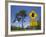 Queensland, Fraser Coast, Maryborough, Koala Crossing Sign on the Bruce Highway, Australia-Walter Bibikow-Framed Photographic Print