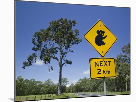 Queensland, Fraser Coast, Maryborough, Koala Crossing Sign on the Bruce Highway, Australia-Walter Bibikow-Mounted Photographic Print