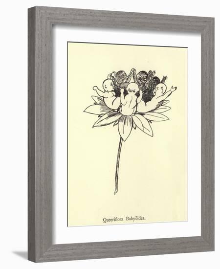 Queeriflora Babyoides-Edward Lear-Framed Giclee Print