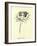 Queeriflora Babyoides-Edward Lear-Framed Giclee Print