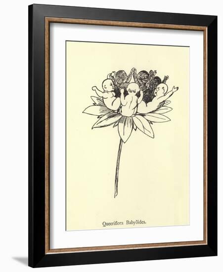 Queeriflora Babyoides-Edward Lear-Framed Giclee Print