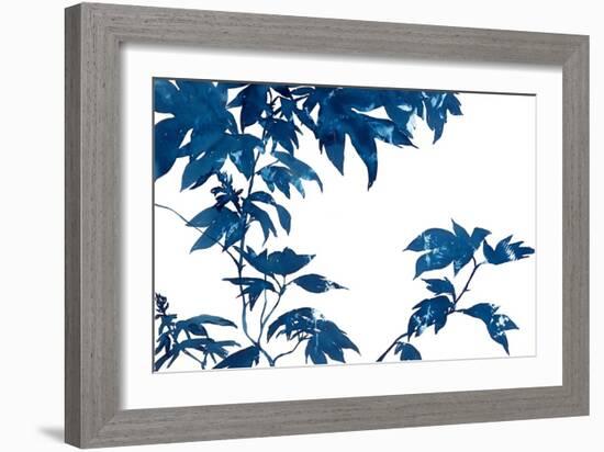 Quercifolia-Cynthia MacCollum-Framed Art Print