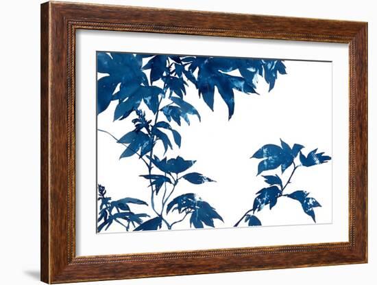 Quercifolia-Cynthia MacCollum-Framed Art Print