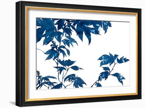 Quercifolia-Cynthia MacCollum-Framed Art Print