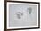 Querelle Zyklus-Jurgen Draeger-Framed Collectable Print