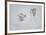 Querelle Zyklus-Jurgen Draeger-Framed Collectable Print