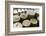 Queserýa Rogelio Lopez Campo, Cabrales Cheese Maker, at Sotres, Asturias, Spain-Carlos Sanchez Pereyra-Framed Photographic Print