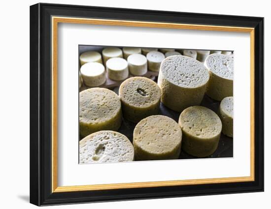 Queserýa Rogelio Lopez Campo, Cabrales Cheese Maker, at Sotres, Asturias, Spain-Carlos Sanchez Pereyra-Framed Photographic Print