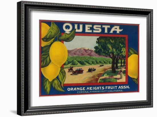 Questa Lemon Label - Corona, CA-Lantern Press-Framed Art Print