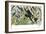 Quetzal, Toucans, and Other Tropical Birds-null-Framed Giclee Print