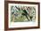 Quetzal, Toucans, and Other Tropical Birds-null-Framed Giclee Print